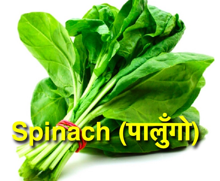 vegetables-in-nepali-english-translation-nepali-class