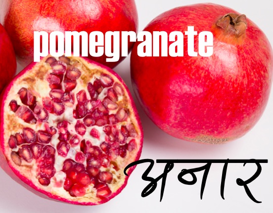 fruits-nepali-to-english-translation-nepali-class