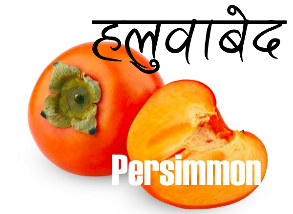 fruits-nepali-to-english-translation-nepali-class