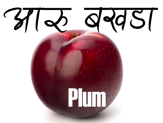 fruits-nepali-to-english-translation-nepali-class